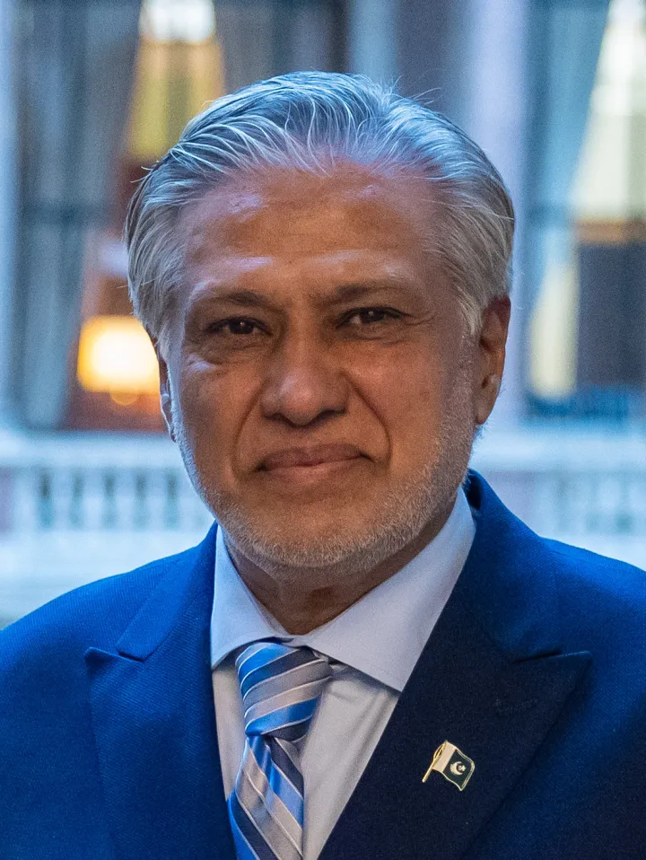 Ishaq Dar (Wikidata P18)