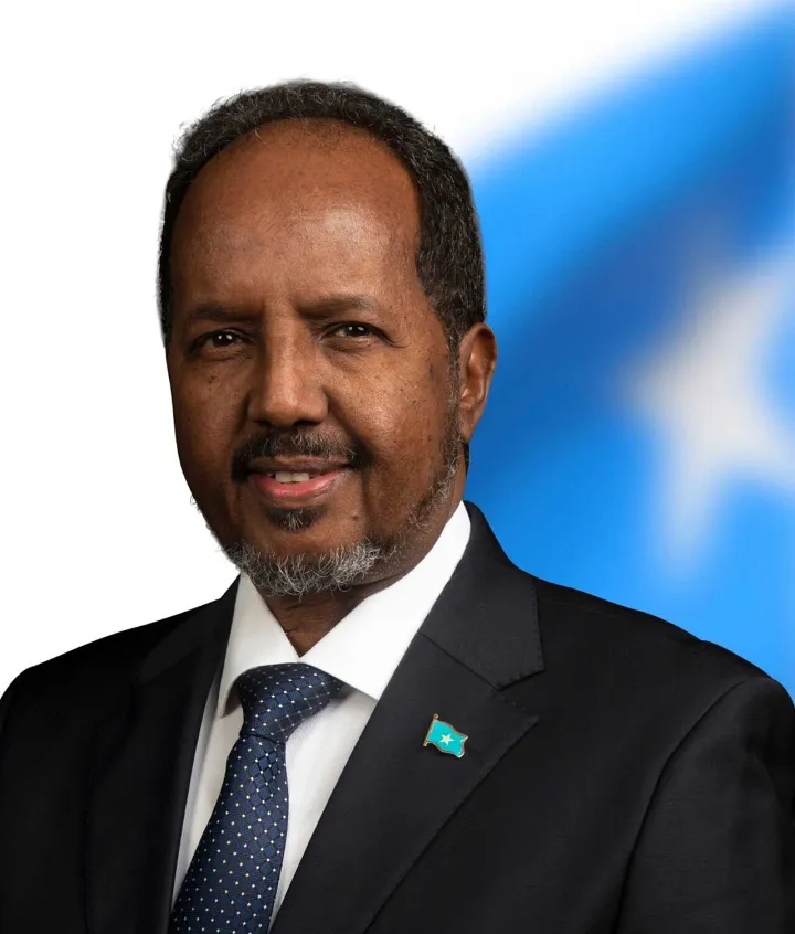 His Excellency President Hassan Sheikh Mohamud