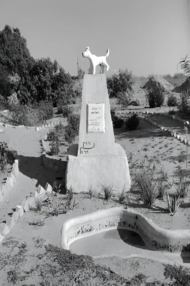 118549 kibbutz kerem shalom PikiWiki Israel