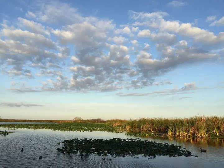 Lake Monroe, Florida