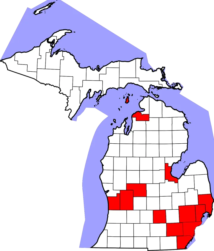 COVID-19 Cases in Michigan by counties