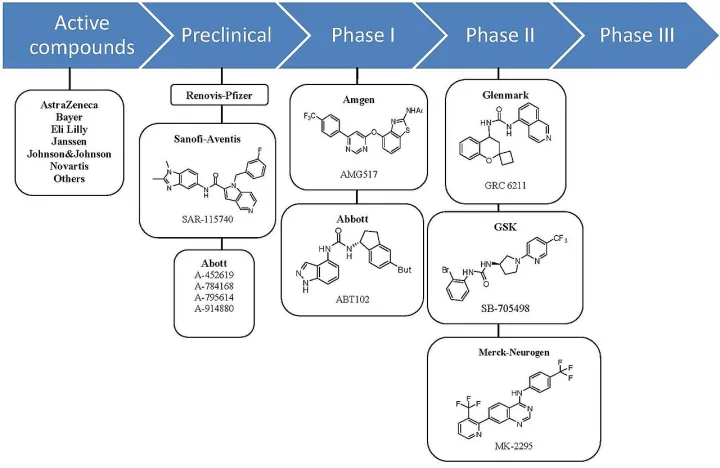 Clinical development of TRPV1 antagonists