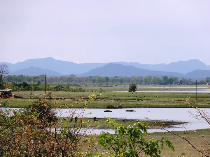 View of the surrounding at the Lake Kariba with hippos (6910358407)