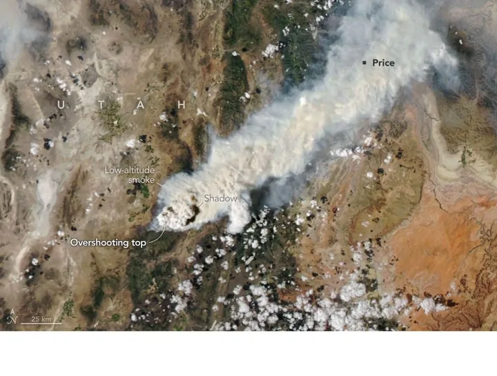 Chasing Fire Clouds in Utah (1276268 - utahpyrocb amo 20260802)