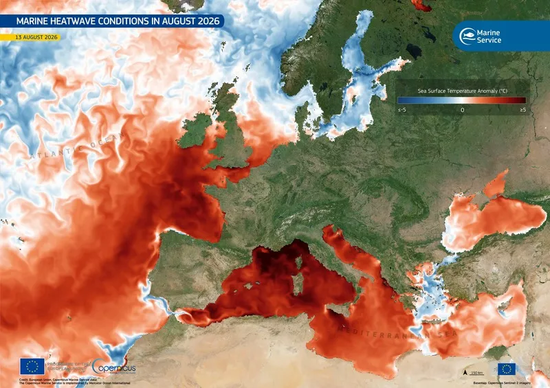 Copernicus Marine Service map of western Mediterranean sea-surface temperature anomalies during a marine heatwave