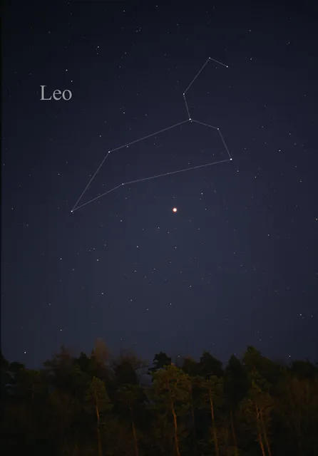 Leo (Wikidata P18)