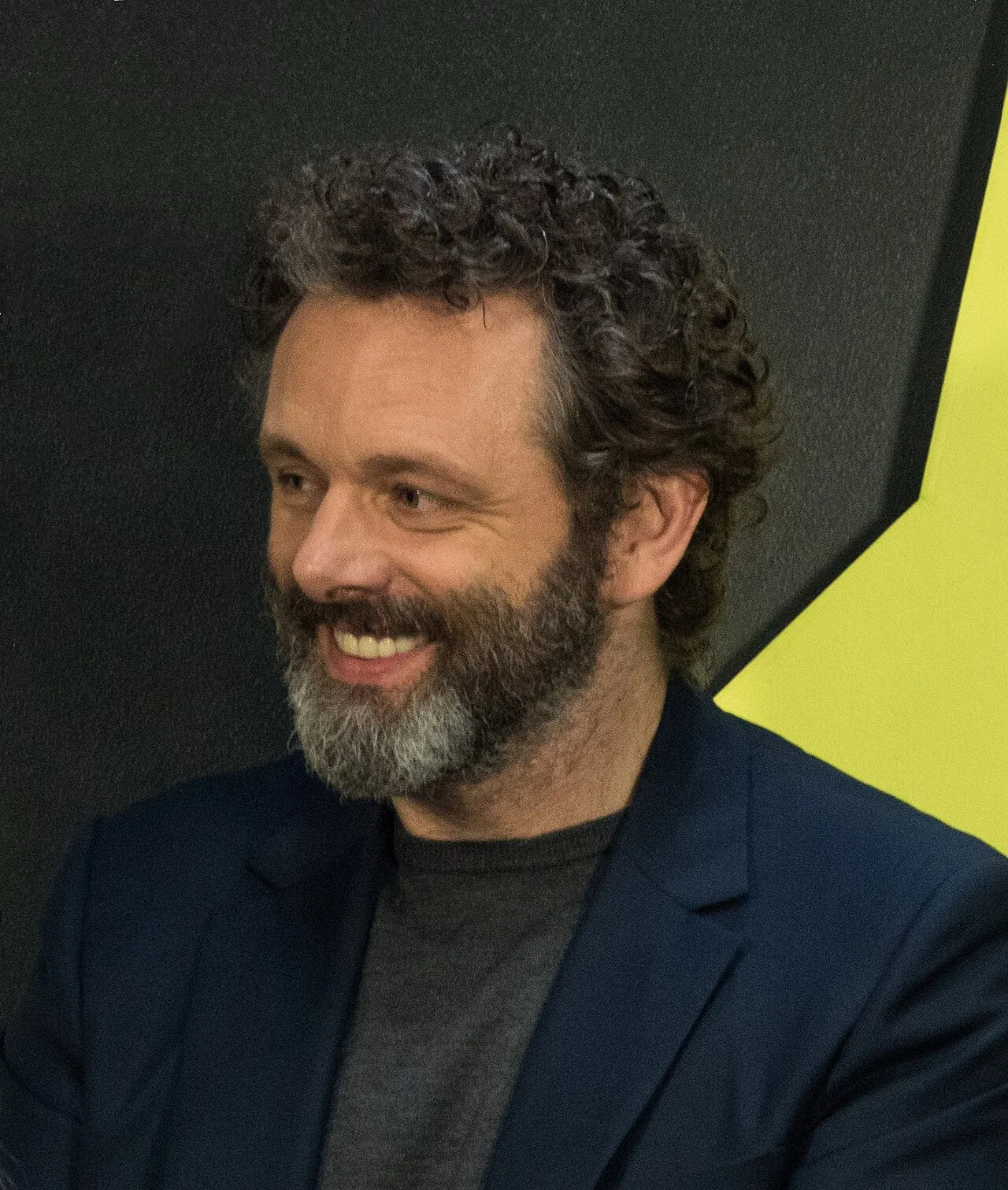 Michael Sheen (Wikidata P18)