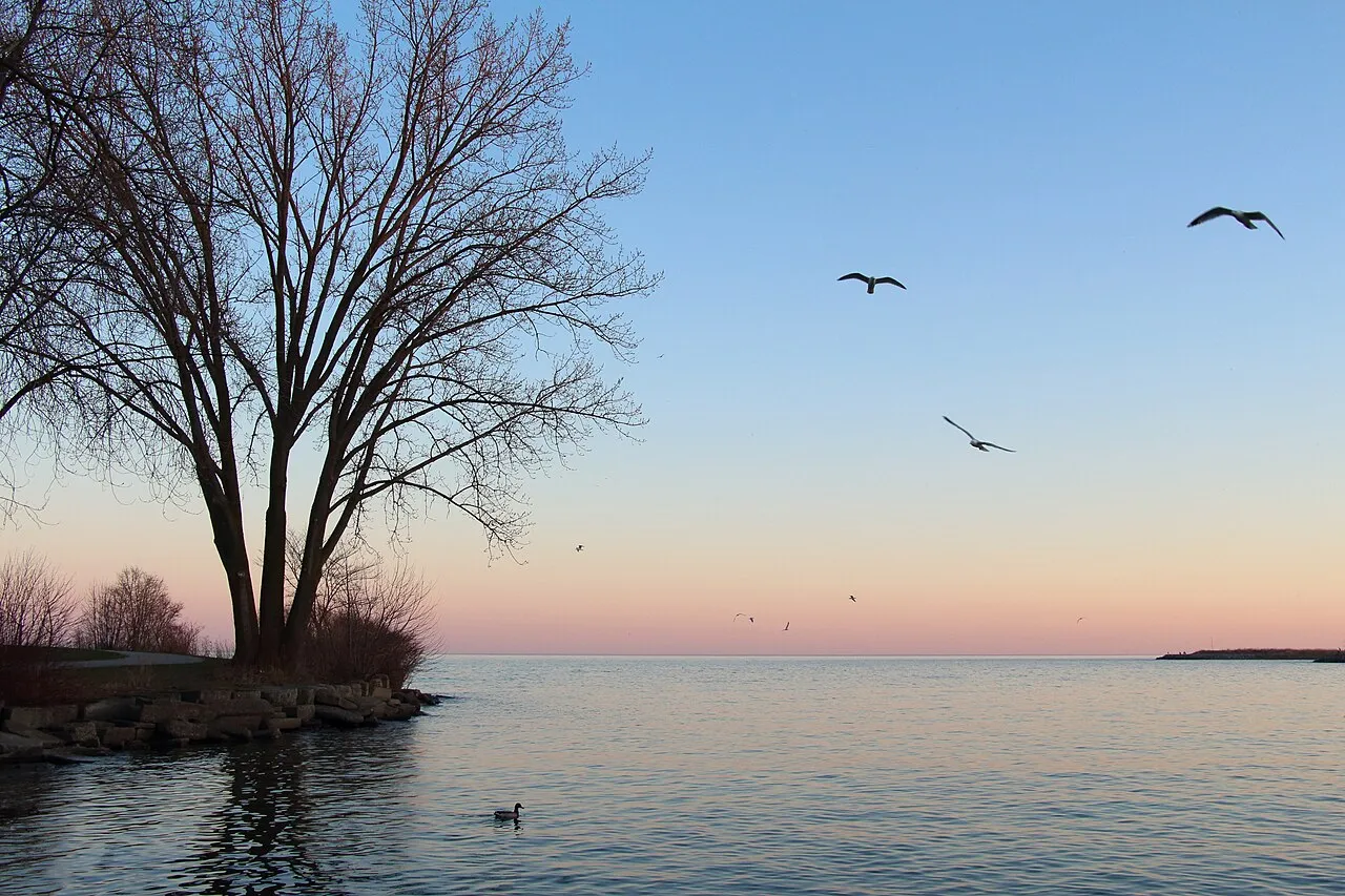File:Lake Ontario Dusk.jpg
