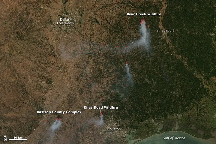 Ross Fire explodes to over 80,000 acres, forces evacuations in North Texas