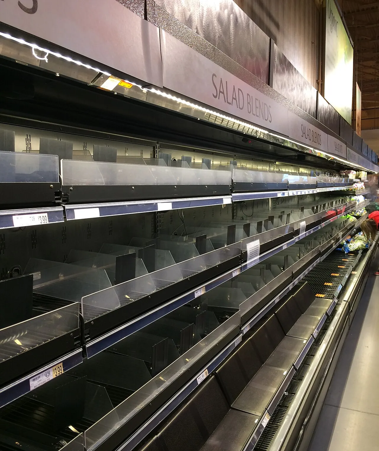 File:Cleared grocery shelves after salmonella outbreak (2018).jpg