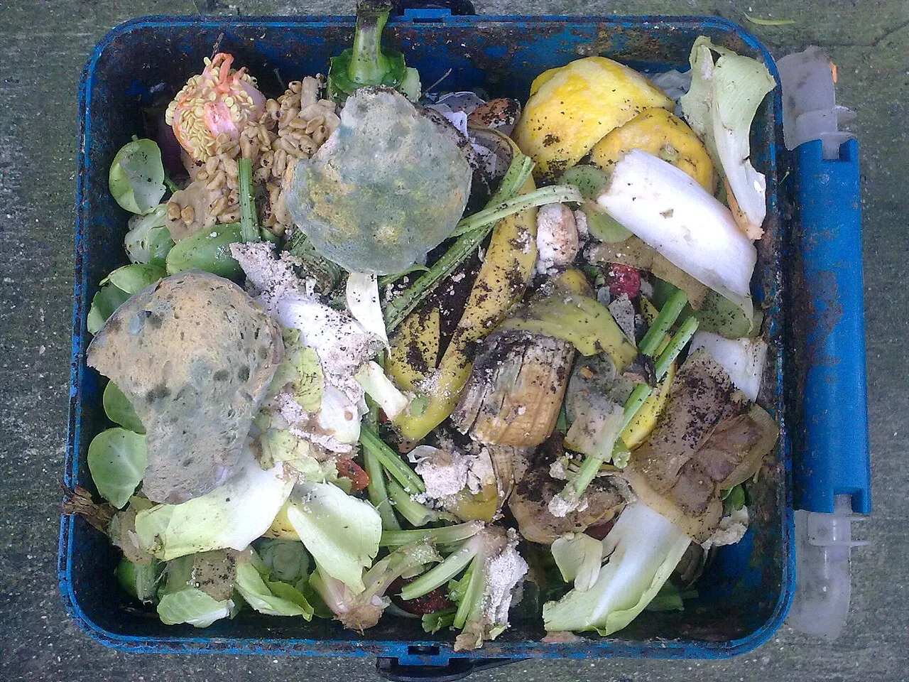 Food waste processing is 'worth the extra effort'