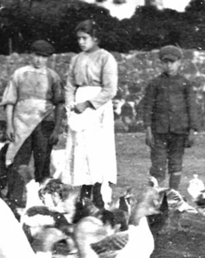 Maria Goretti (Wikidata P18)