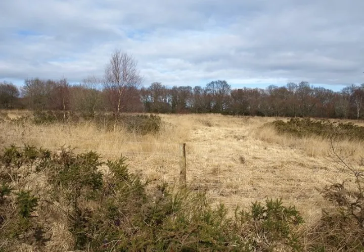 Chudleigh Knighton Heath - geograph.org.uk - 1173313