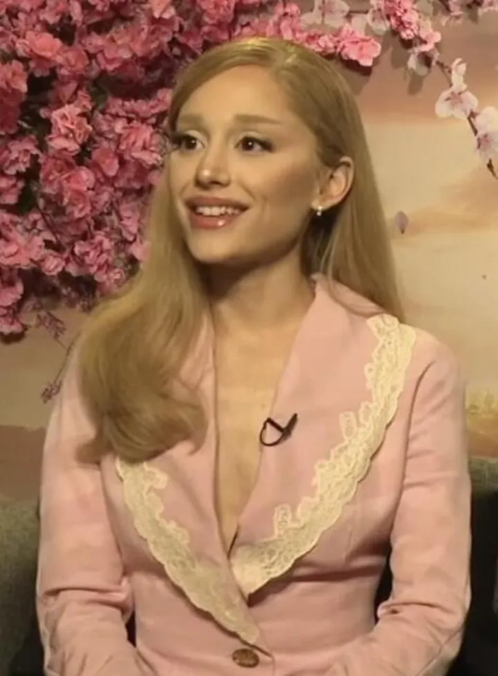 Ariana Grande (Wikidata P18)