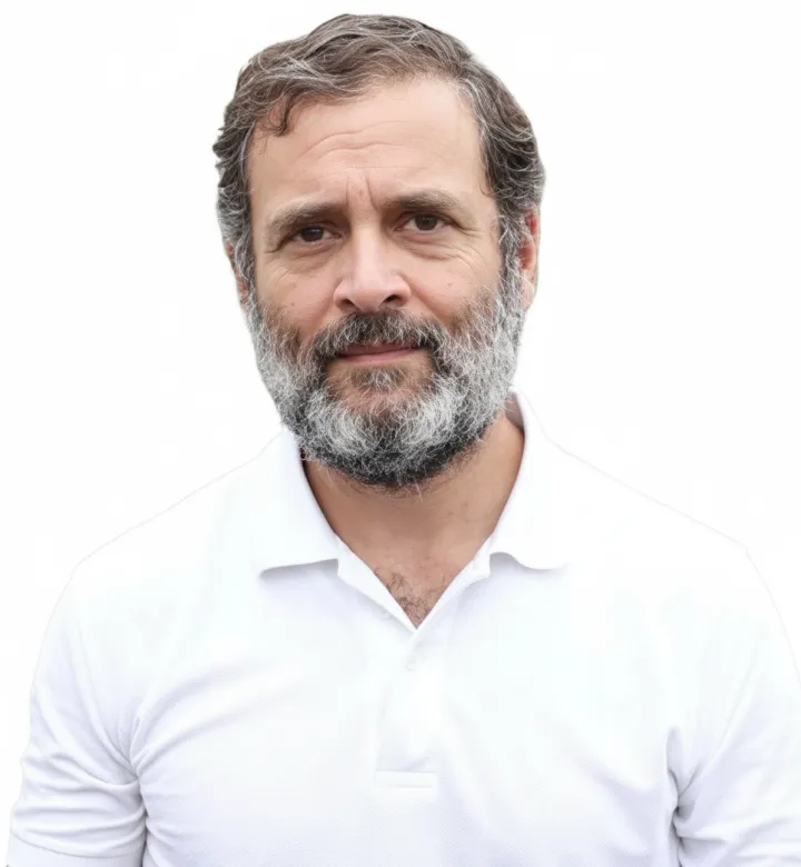 Rahul Gandhi (Wikidata P18)