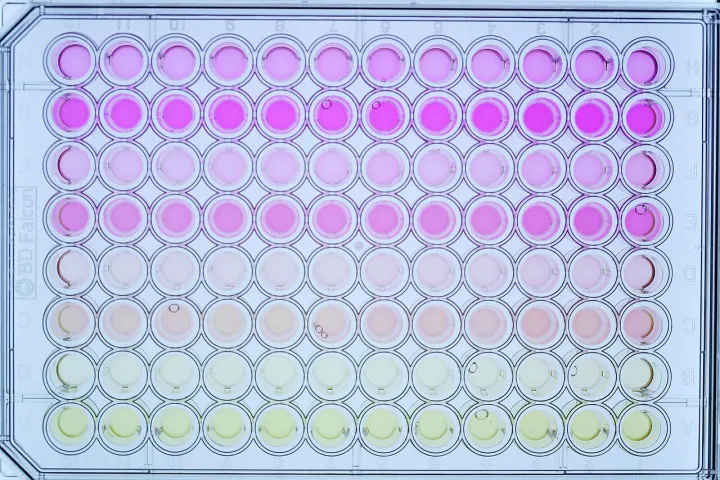 Cell metabolism and color