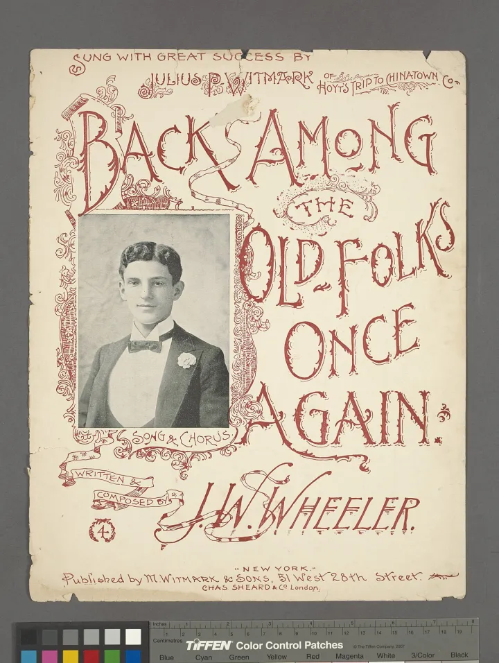 Back among the old folks once again (NYPL Hades-449119-1157306)