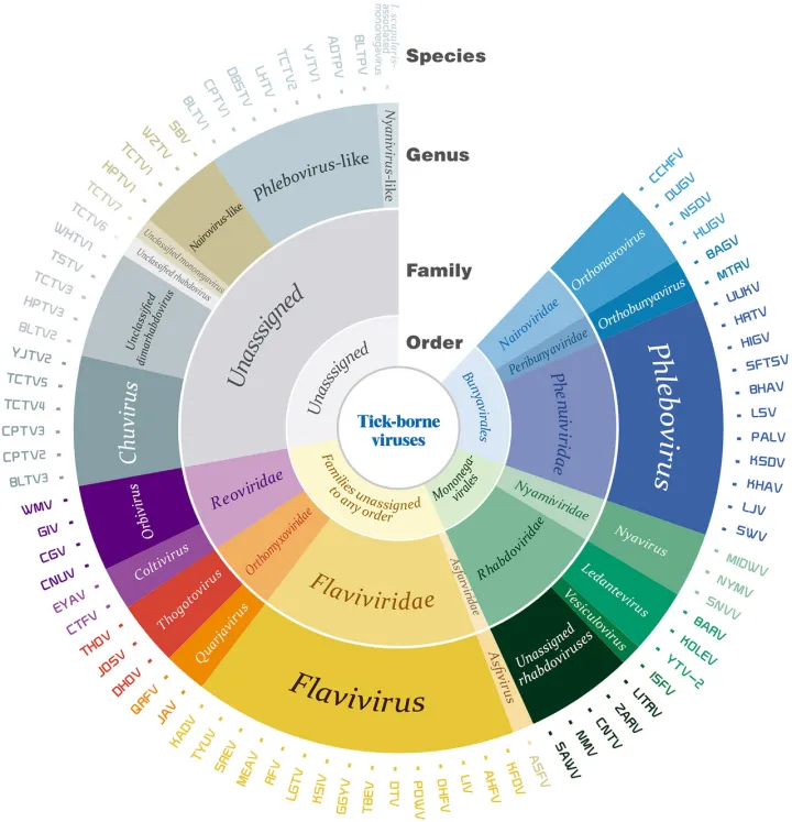 Taxonomy of tick-borne viruses