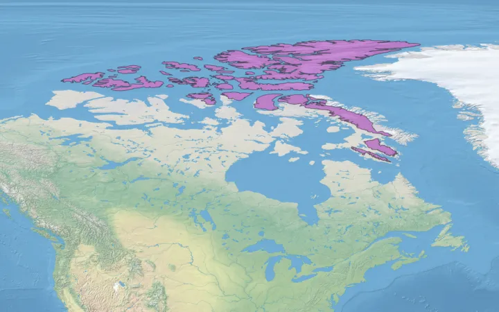Canadian High Arctic Tundra Ecoregion