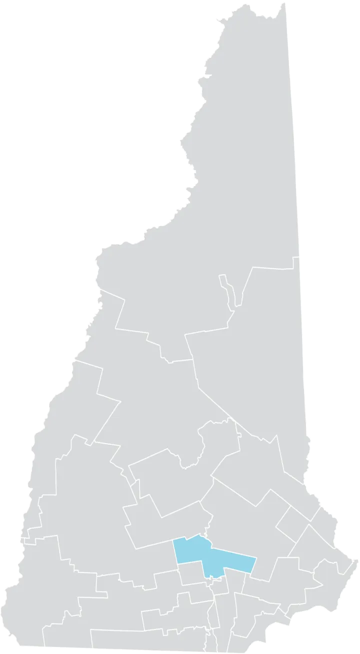 New Hampshire Senate District 16 (2010)