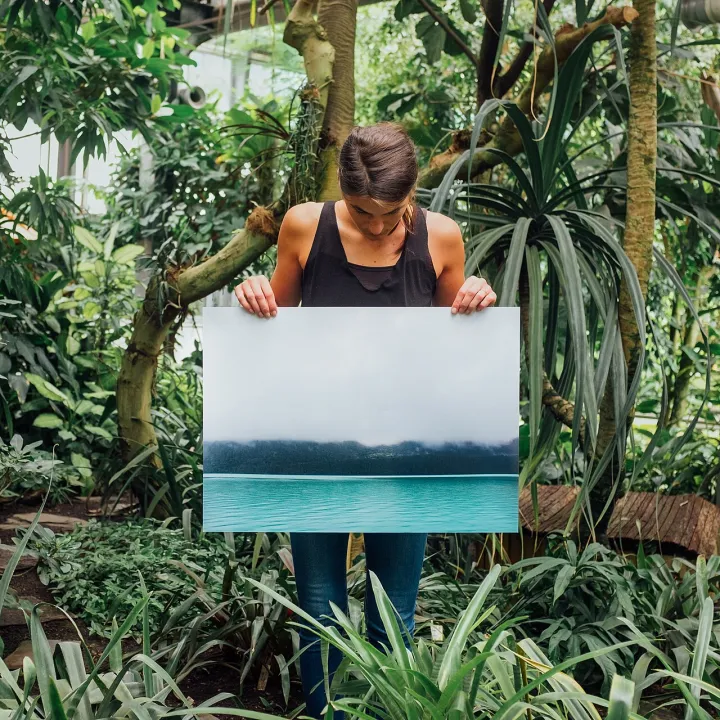 Print and donate to Doctors Without Borders (Unsplash)