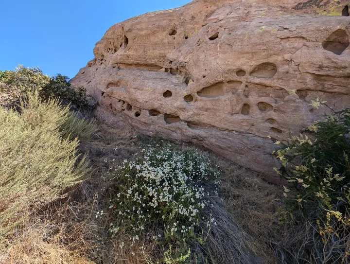 Vasquez Rocks Natural Area - 53911713337
