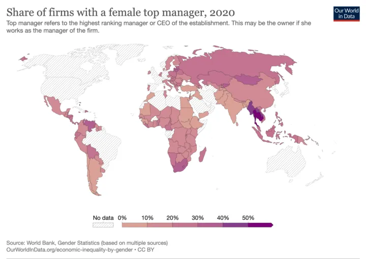 Share-firms-top-female-manager