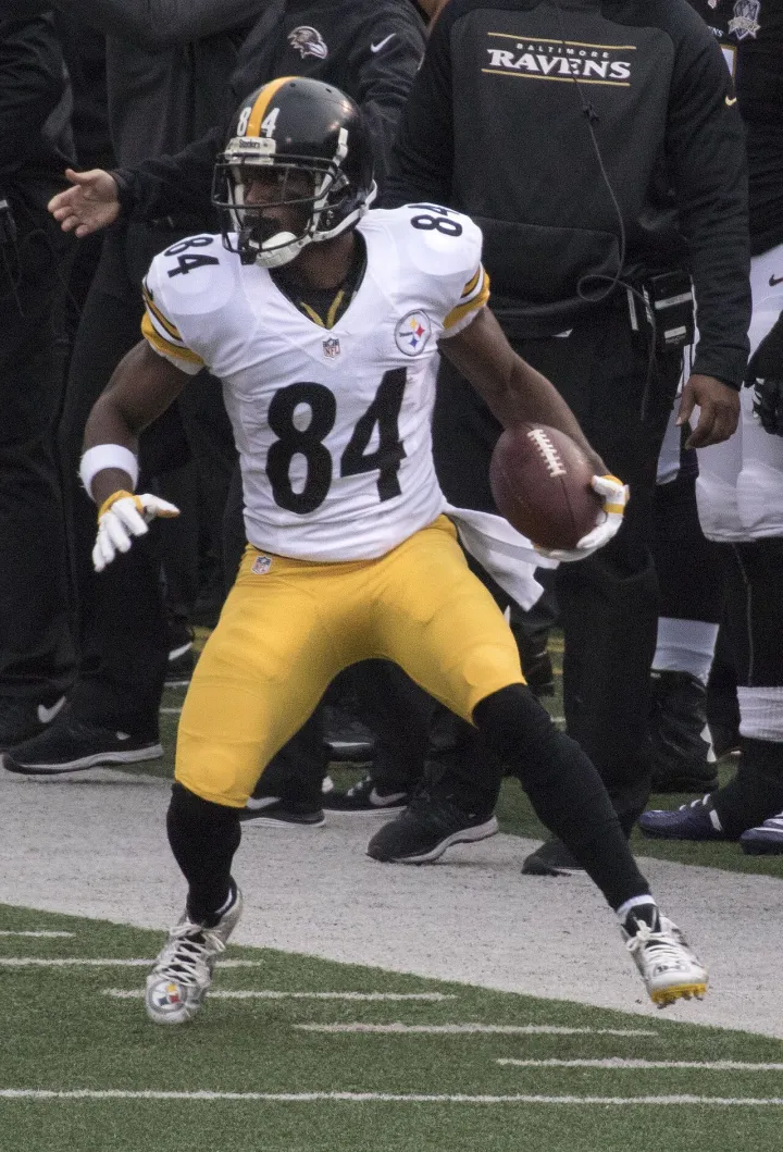 Antonio Brown 2015