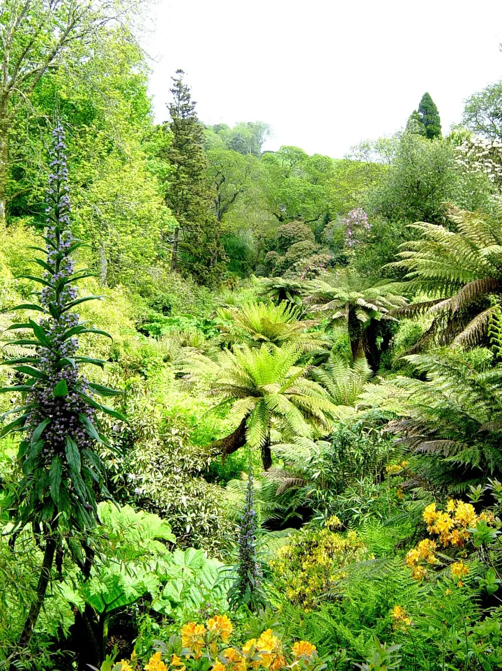The Lost Gardens of Heligan