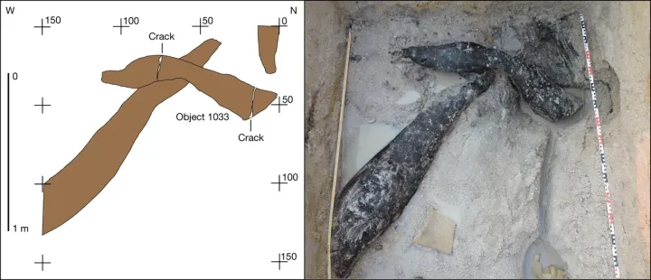 Structural unit formed by two overlapping logs in BLB5 (evidence for the earliest structural use of wood at least 476,000 years ago).webp