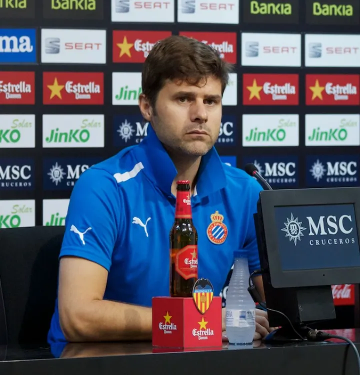 Pochettino 2012