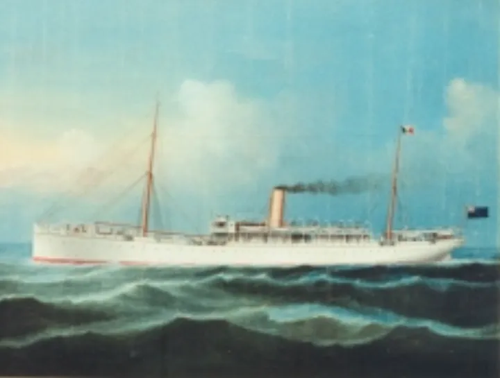 Nubia (Ship's portrait of the passenger cargo ship)