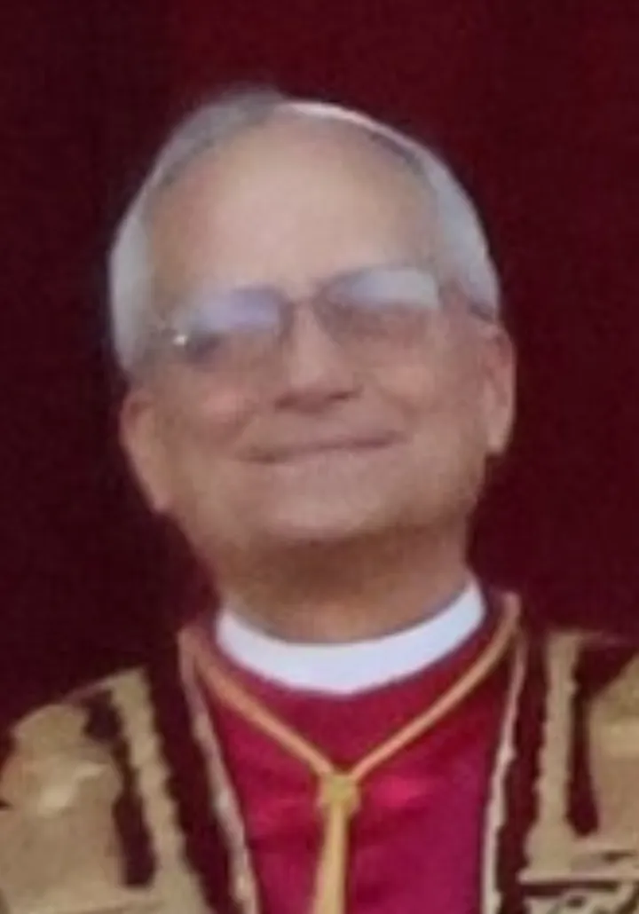 Pope Leo XIV (May 2025)