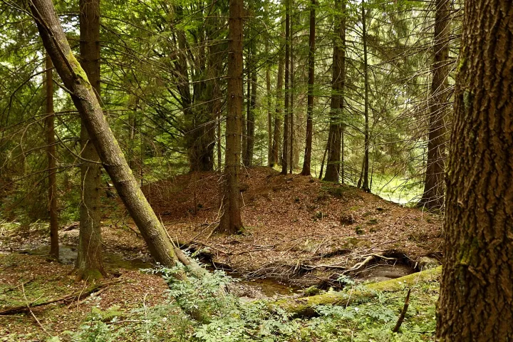 Old gold placer claim near Lipka, Vimperk