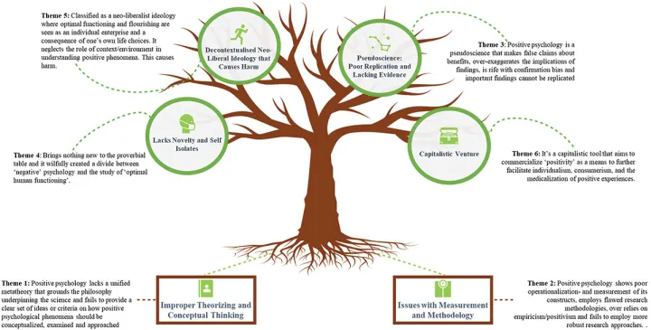 Summary of main criticisms and critiques of positive psychology