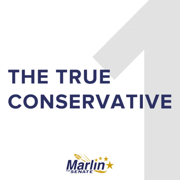 Top Three Reasons to Vote for Marlin (1)