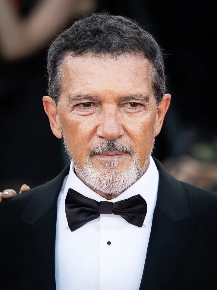 Antonio Banderas-66031 (cropped)