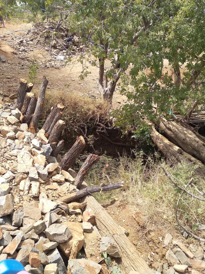 Illegal mining effects