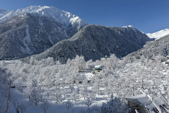 Orchards in snow, Sangla, Himachal Pradesh, India