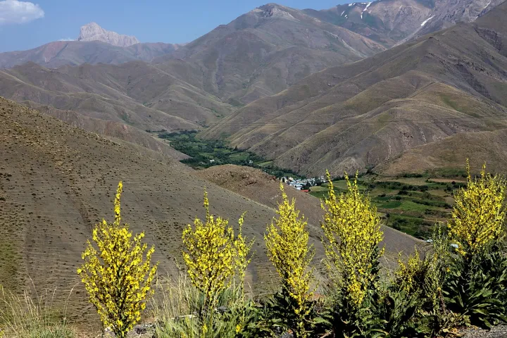 Nature of Iran IMG 4927 (4765273360)