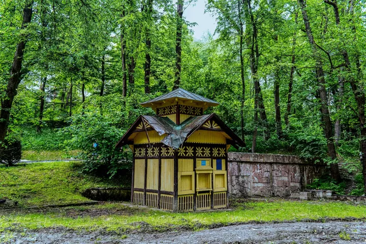 Джерело №3 Броніслава DSC 0224