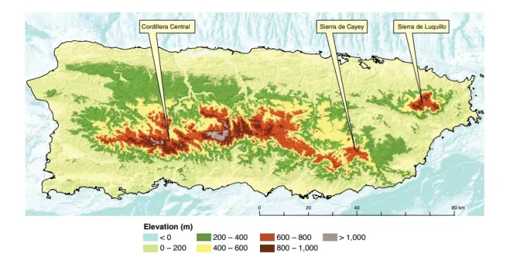 Topography of the Commonwealth of Puerto Rico by USDA