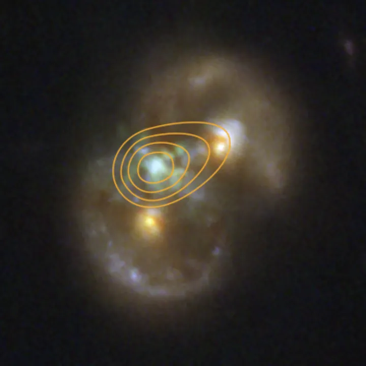 NASA’s Webb Finds Possible ‘Direct Collapse’ Black Hole - 54655737347