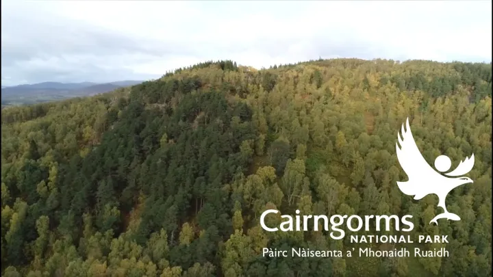 Woodland Expansion in the Cairngorms National Park