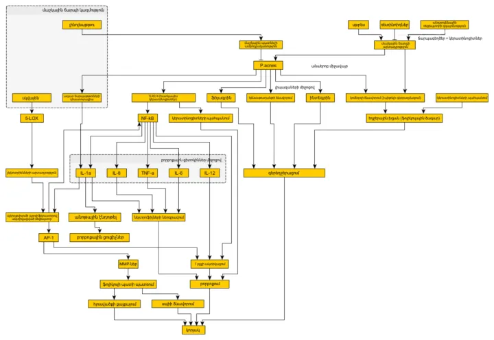 Acne Pathogenesis Medscape (hy)