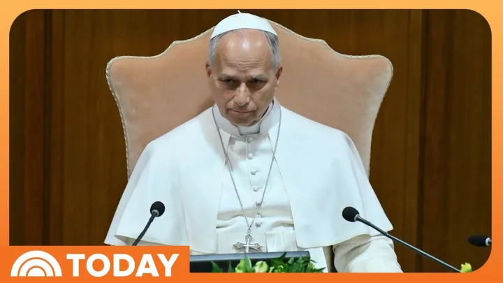 Pope Leo XIV Warns of Risks of AI, Calls for Robust Regulation