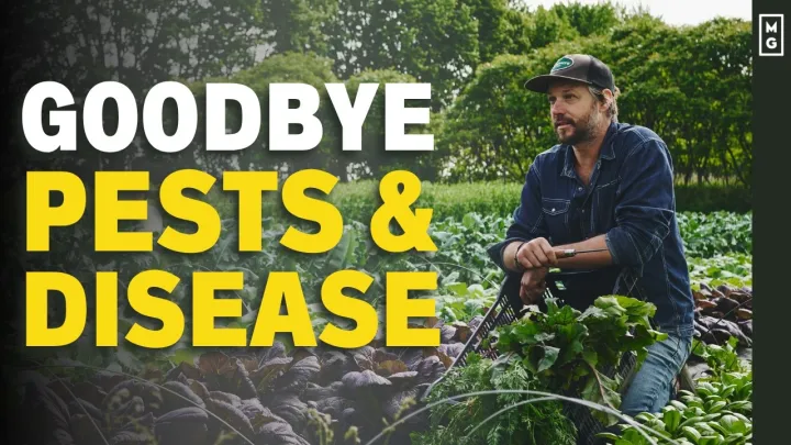 Can Plants Really Be 100% Immune To Pests & Disease? | Plant Immunity Explained