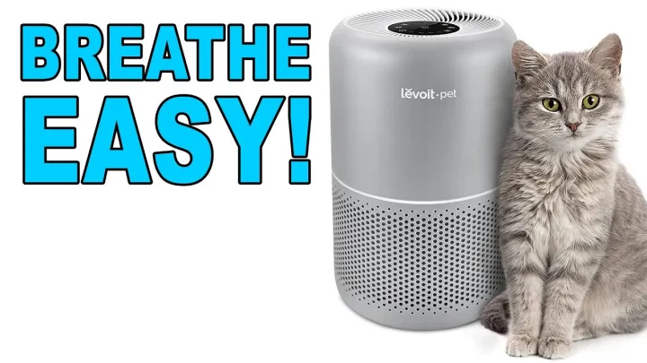 Levoit Core P350 Pet Air Purifier Review … Dust & Pollen too !!!