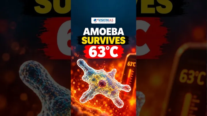 Fire Amoeba Survives 63°C Heat, Pushing the Limits of Complex Life