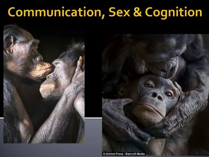 PRIMATE COGNITION & COMMUNICATION LECTURE